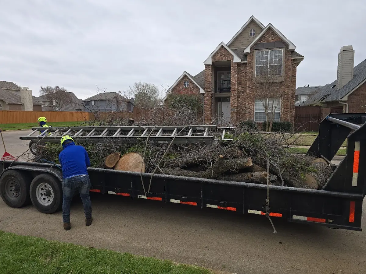 Expert Tree Removal with proper safety equipment in Oaks